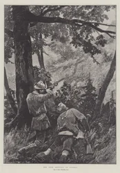 Chasse au chevreuil en Autriche